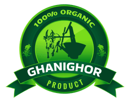 GhaniGhor Logo